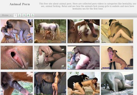 whois animal-porn.net