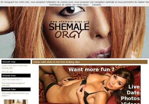 whois shemale-orgy.org